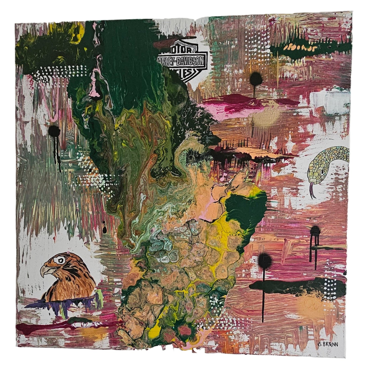 The Spirit of the Hawk by Sara Brønn