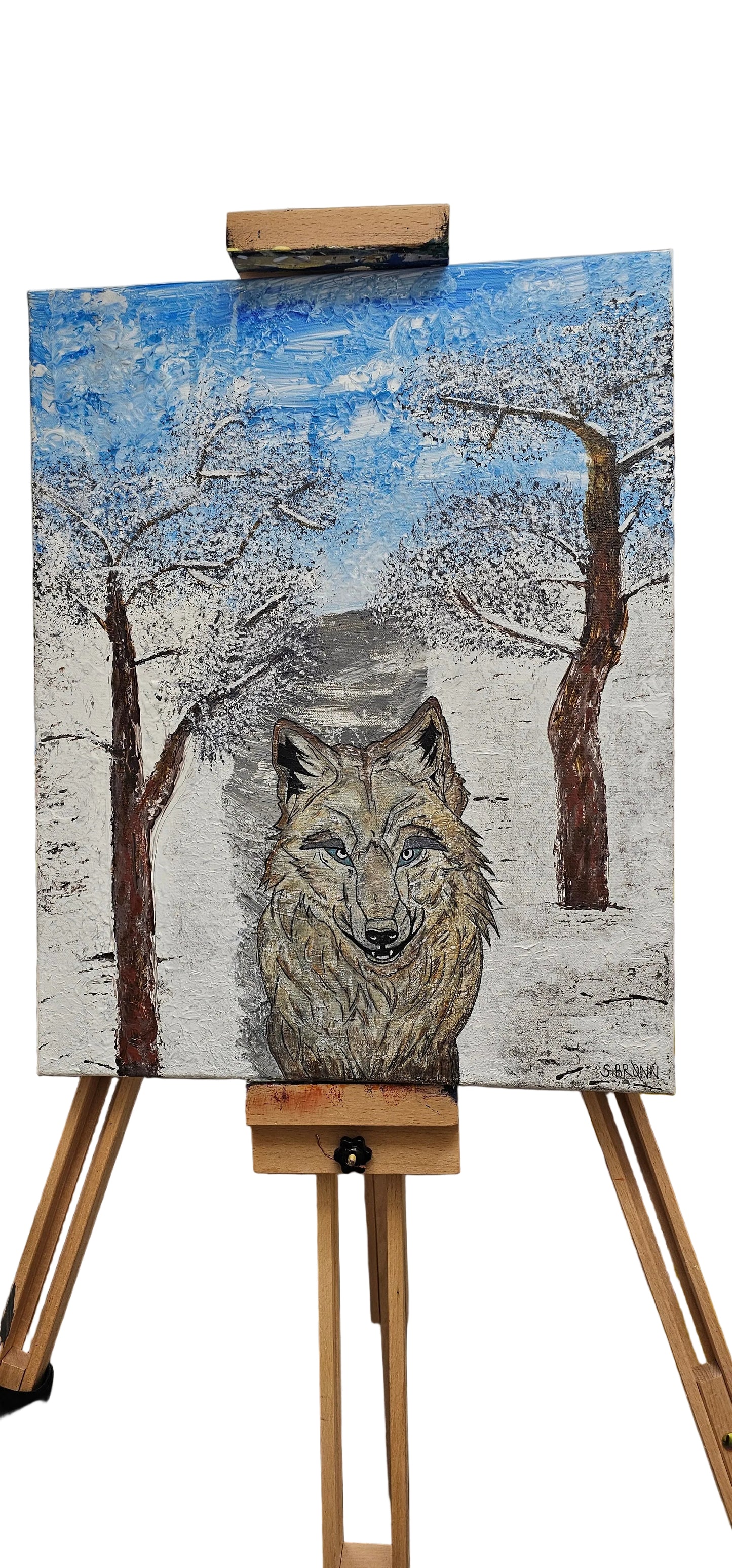 Winter by Sara Brønn